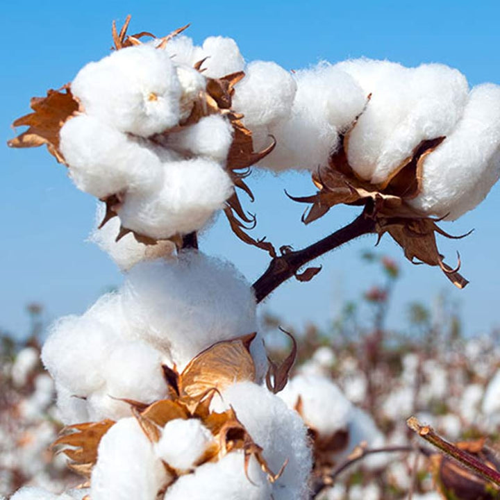 Buddha Stones瞑想禅祈りスピリチュアル太極拳気功練習ユニセックス刺繍服セット - image 19
