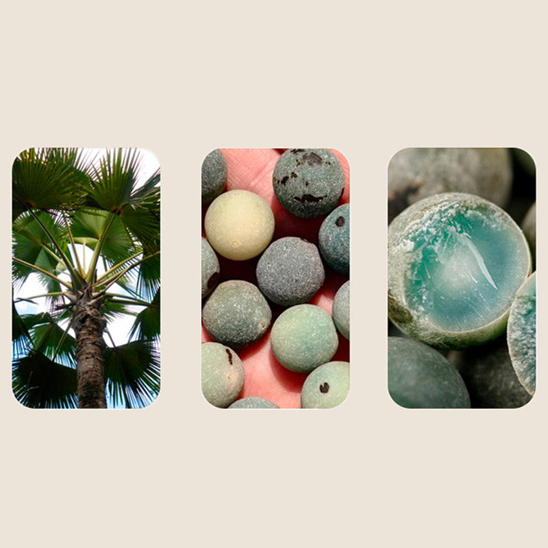 Buddha Stones108 ビーズ 菩提樹の祝福 瞑想ブレスレットMala