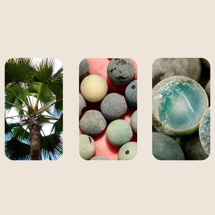 Buddha Stones108 ビーズ 菩提樹の祝福 瞑想ブレスレットMala