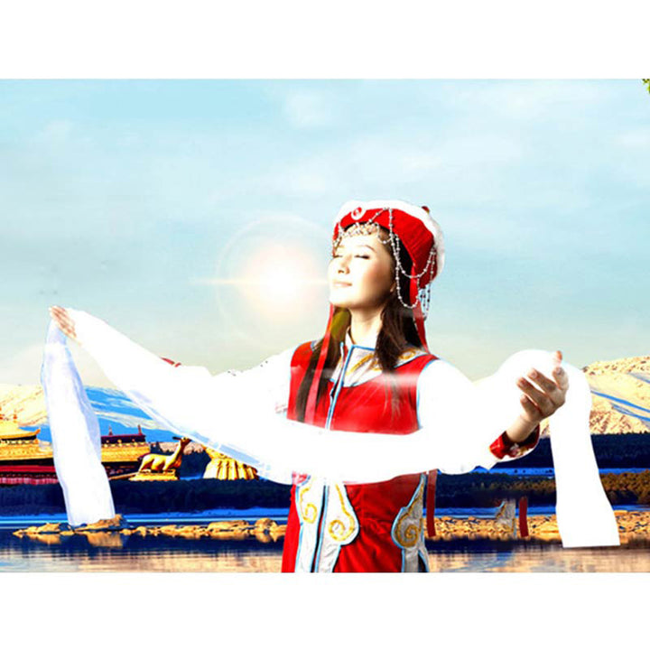 チベットの幸運の祝福5色の龍と鳳凰の模様のカタ装飾