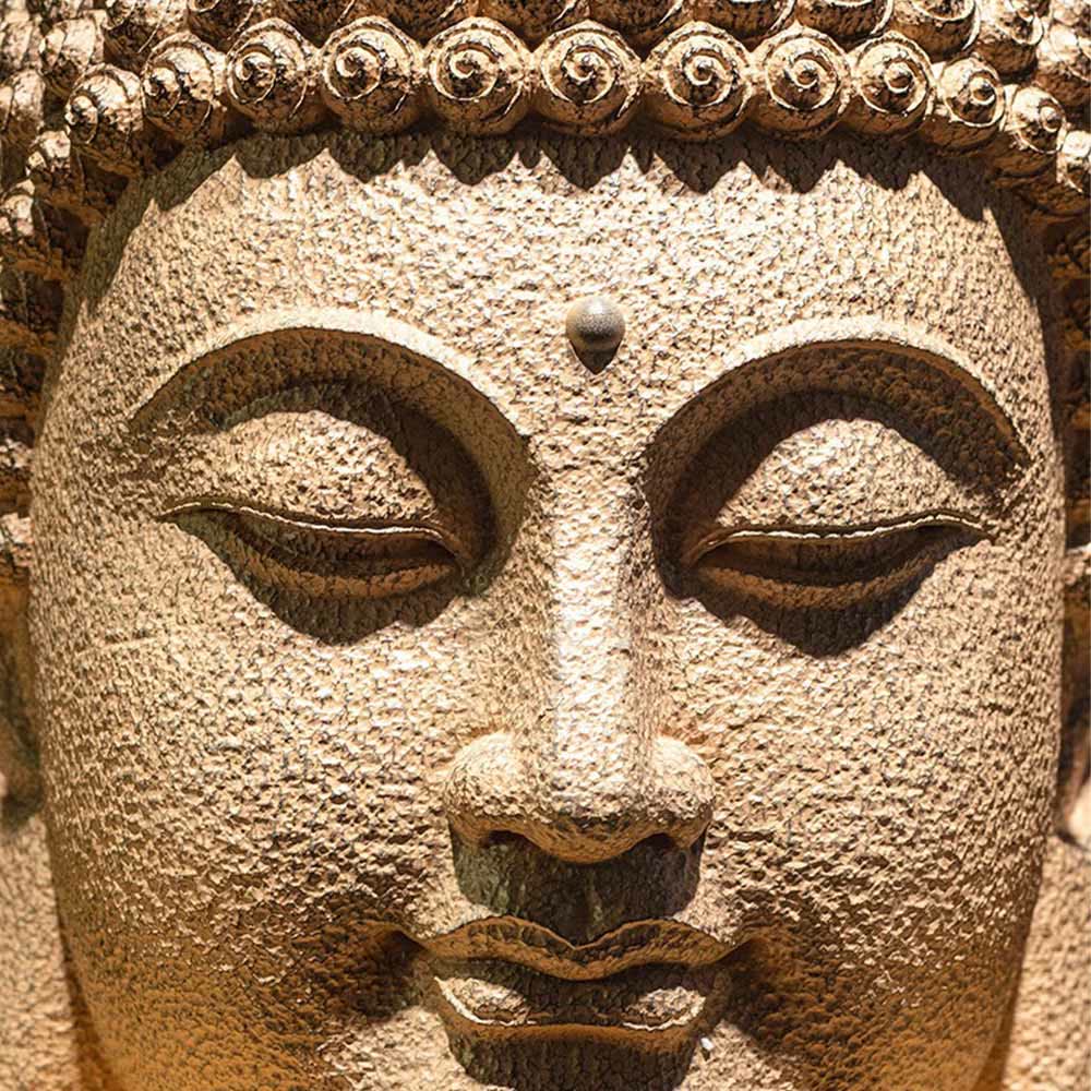 Buddha Stones目を閉じて瞑想する仏頭 樹脂像 禅 ホームデコレーション 42*30*30cm