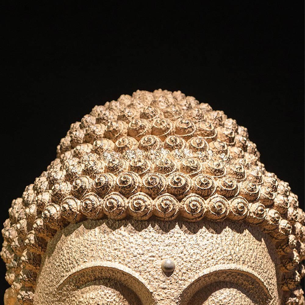 Buddha Stones目を閉じて瞑想する仏頭 樹脂像 禅 ホームデコレーション 42*30*30cm