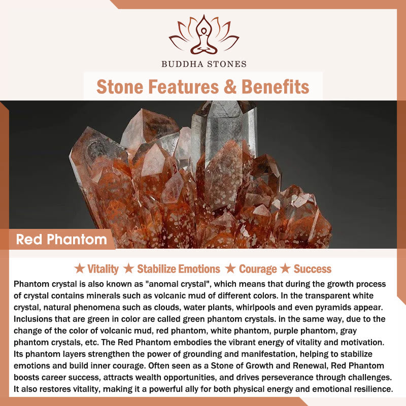 Buddha Stones雷に打たれた木 赤 ファントム陰陽守護ブレスレット - image 6