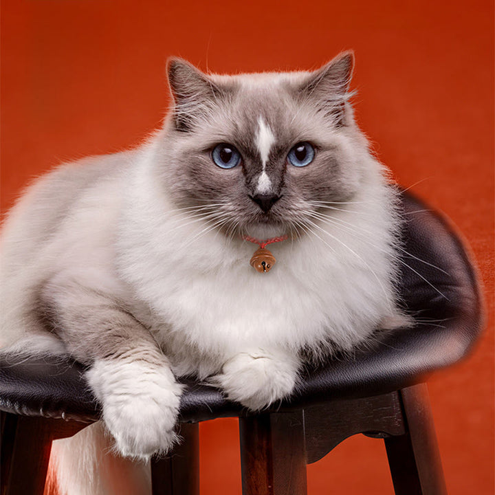 Buddha Stones赤紐桃の木ビーズベル 強度調節可能 猫 小型犬 ペット用首輪 - image 12