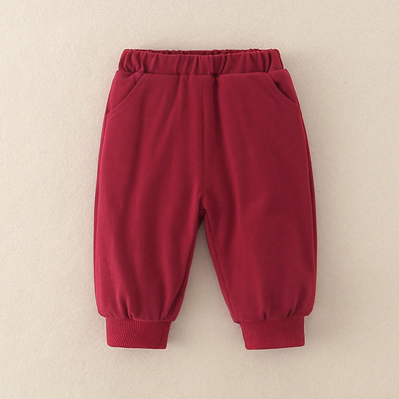 Buddha Stones 2点セット 冬用 ウサギ ピーチ柄 ベビー 幼児 男の子 コットン 長袖 タンスーツ 伸縮性ウエスト パンツ ポケット付き 衣装セット - image 14