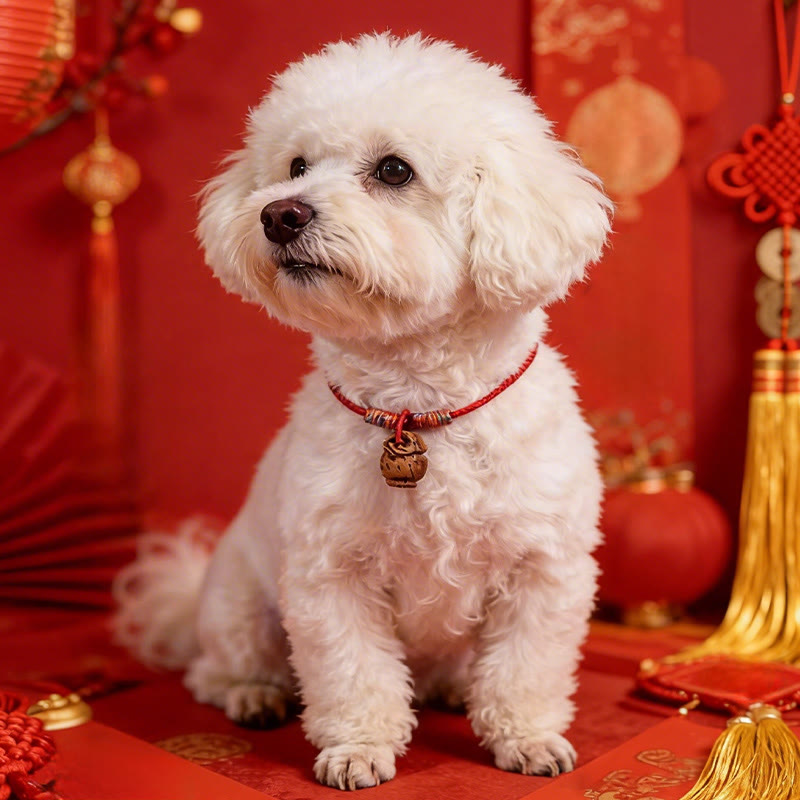 Buddha Stones 編み込みピーチピット赤紐強度調節可能猫犬用ペット首輪 - image 13