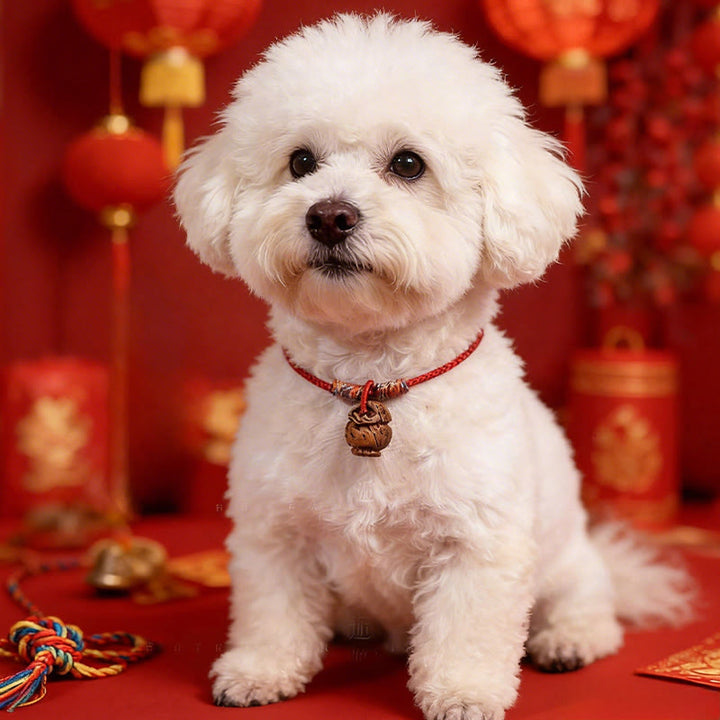 Buddha Stones 編み込みピーチピット赤紐強度調節可能猫犬用ペット首輪 - 赤 - 50～65cm - image 0