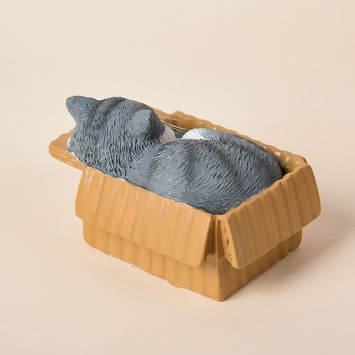 Buddha Stones 紙箱に入った眠っている猫のペイント、樹脂製かわいい動物装飾 - image 16