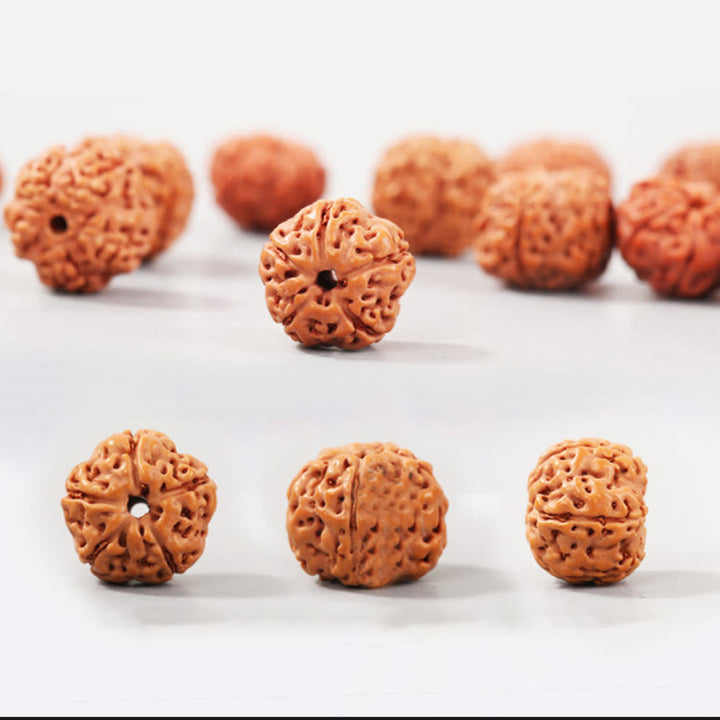 Buddha Stonesチベット ルドラークシャ 菩提樹 富と縁起のブレスレット