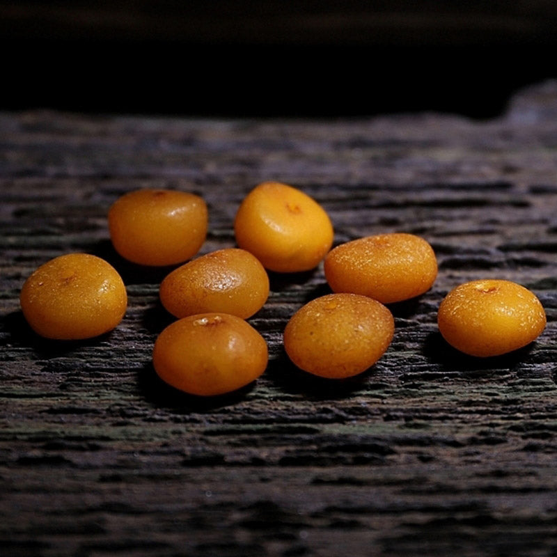 Buddha Stones108 個入りMalaビーズ チベット産 羊角琥珀 幸運のブレスレット
