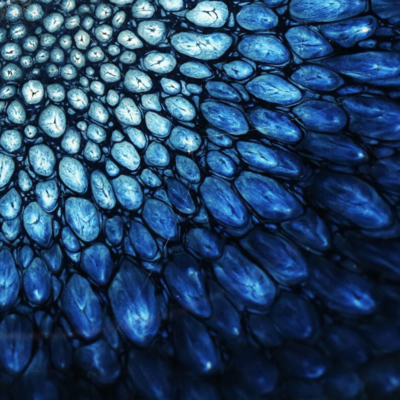 Buddha Stones手作り ブルーフランコリヌス スポット 中国 Jianzhan 陶器 ティーカップ カンフー ティーカップ ボウル - image 4