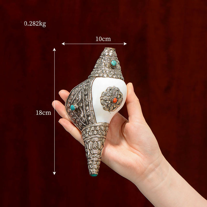 チベットの天然シャンカ貝殻、幸運の富をもたらす家の装飾 - ミディアムシャンク 18×10cm - image 3