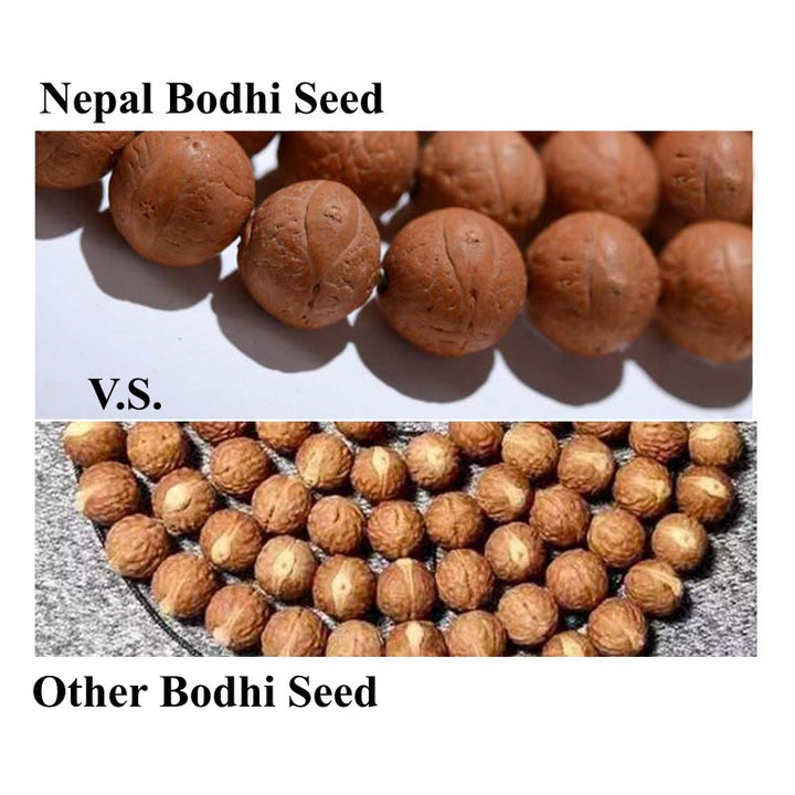 Buddha Stones108 個入りMalaネパール 菩提樹 幸運 富 タッセルブレスレット