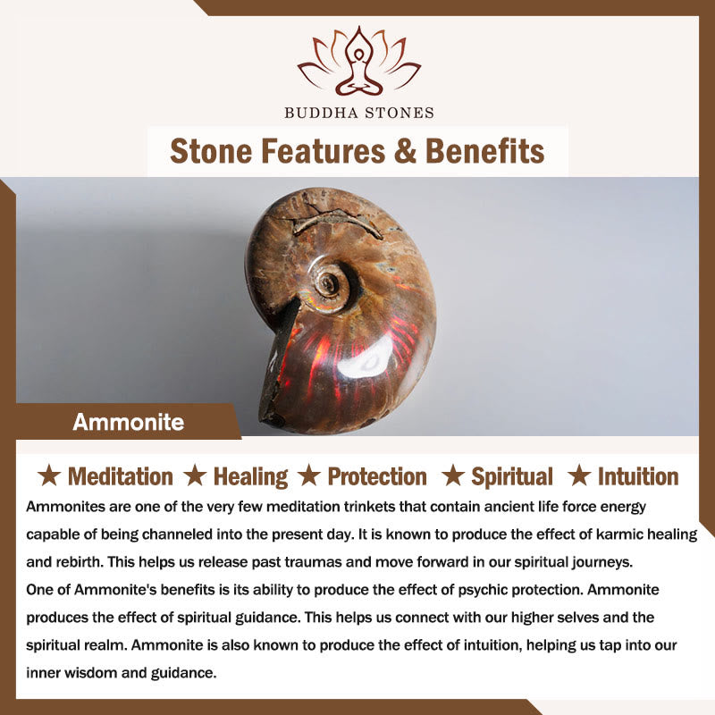 Buddha Stones天然アンモナイト化石 カタツムリ模様 瞑想ヒーリングネックレスペンダント