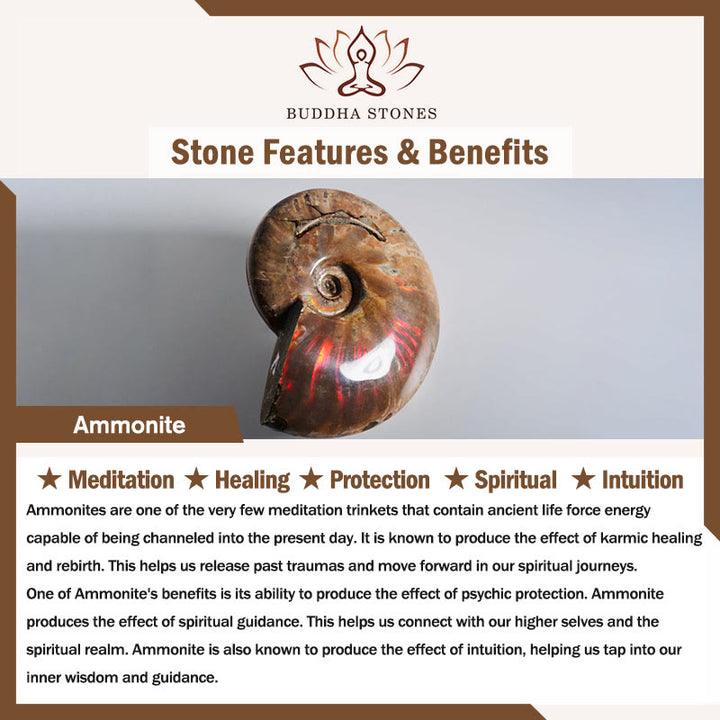 Buddha Stones天然アンモナイト化石 カタツムリ模様 瞑想ヒーリングネックレスペンダント