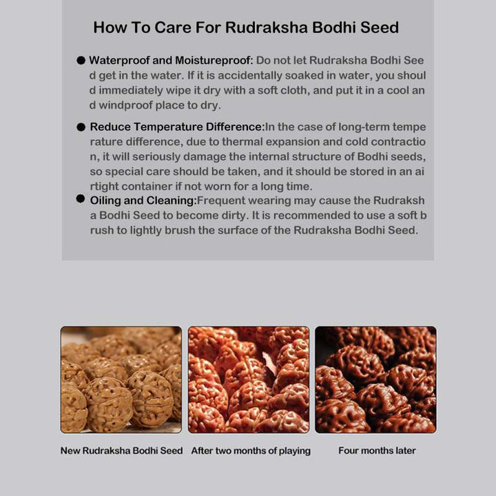 Buddha Stonesチベット ルドラークシャ 菩提樹 貔貅 銅貨 富と幸運ブレスレット
