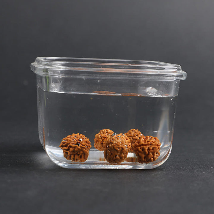 Buddha Stonesチベット ルドラークシャ 菩提樹 貔貅 銅貨 富と幸運ブレスレット