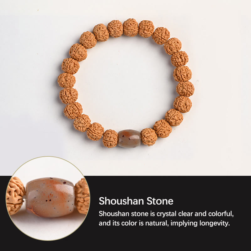 Buddha Stonesチベット ルドラークシャ 菩提樹 富と縁起のブレスレット